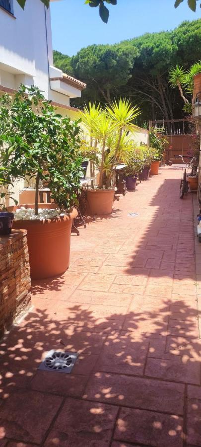 Chalet Con Capacidad Para 8 Personas Chiclana de la Frontera Esterno foto